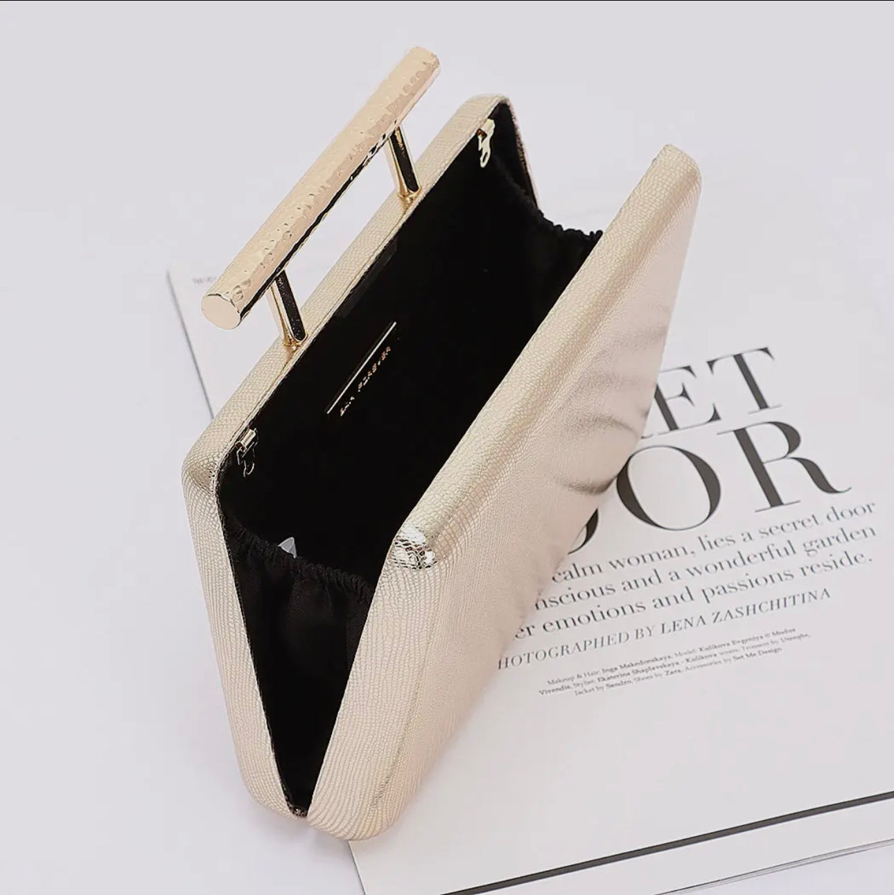 Top Metal Handle Case Purse