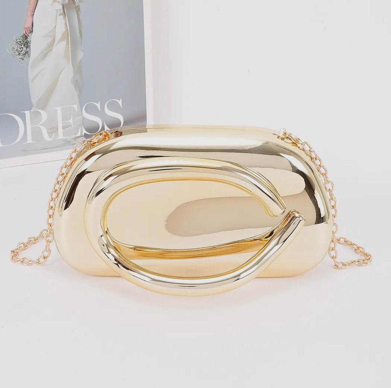 Metallic Frame Pruse