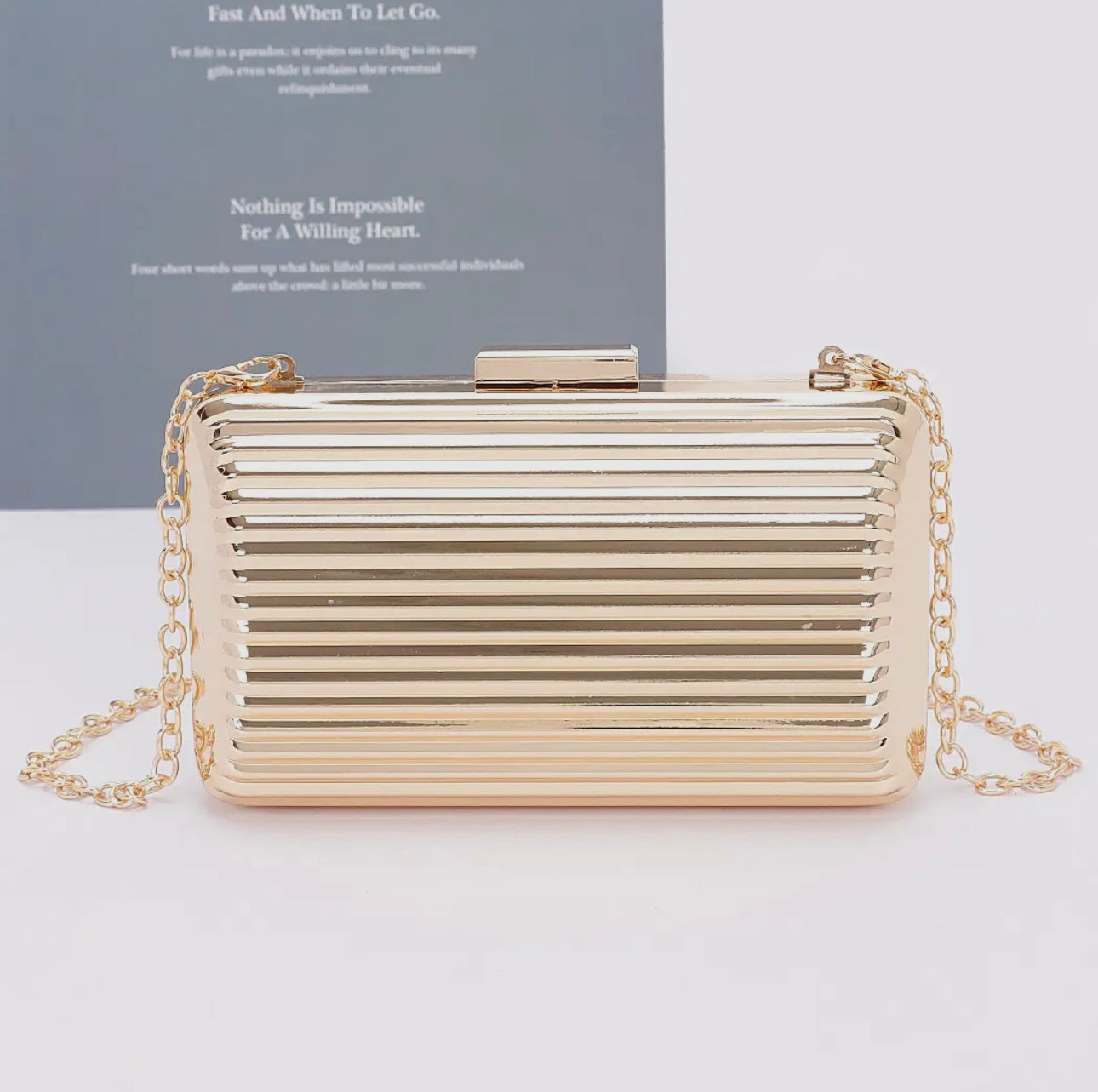 Metal Case purse