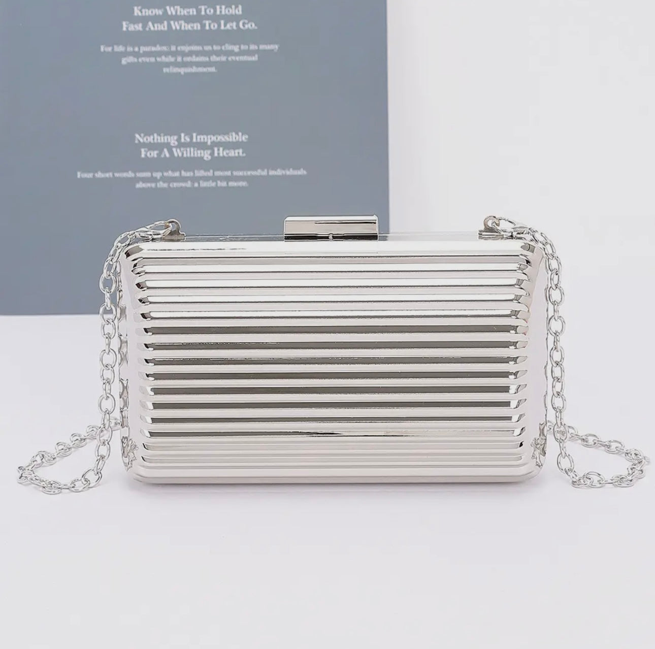 Metal Case purse